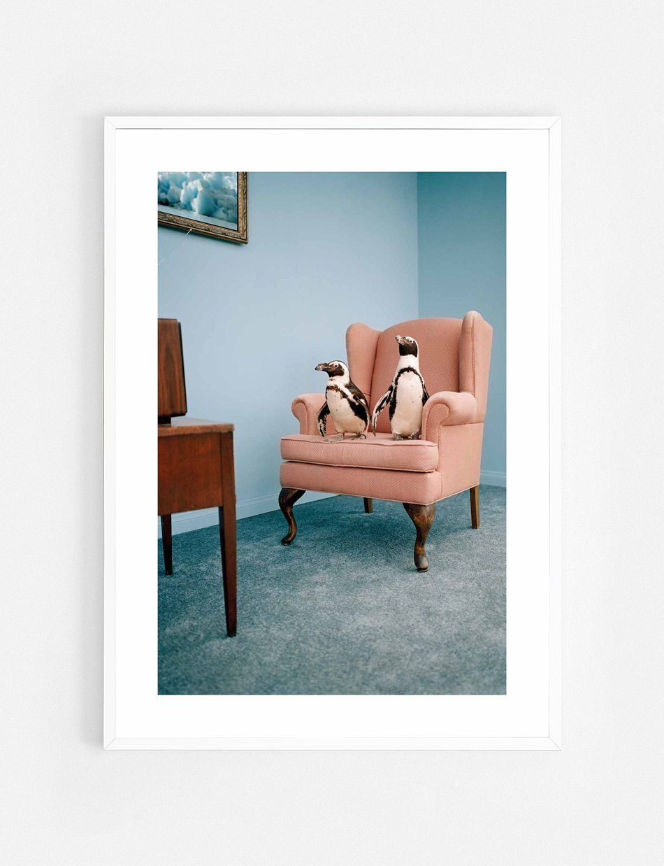 The Penguin Show Poster - Image 3