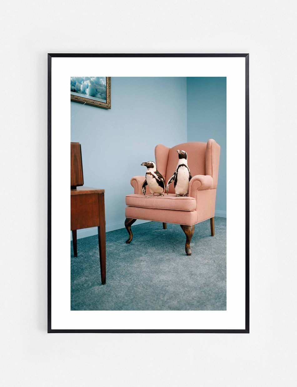 The Penguin Show Poster - Image 4