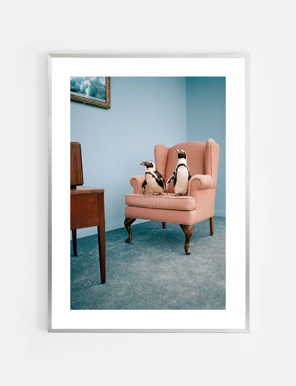 The Penguin Show Poster - Image 5