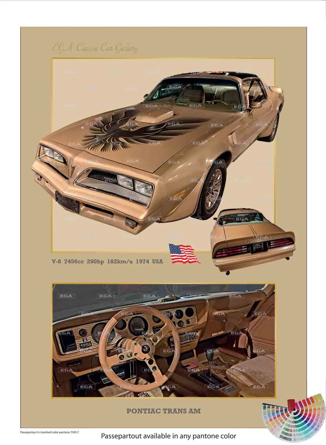 Pontiac Trans Am Firebird 1974 - Image 5