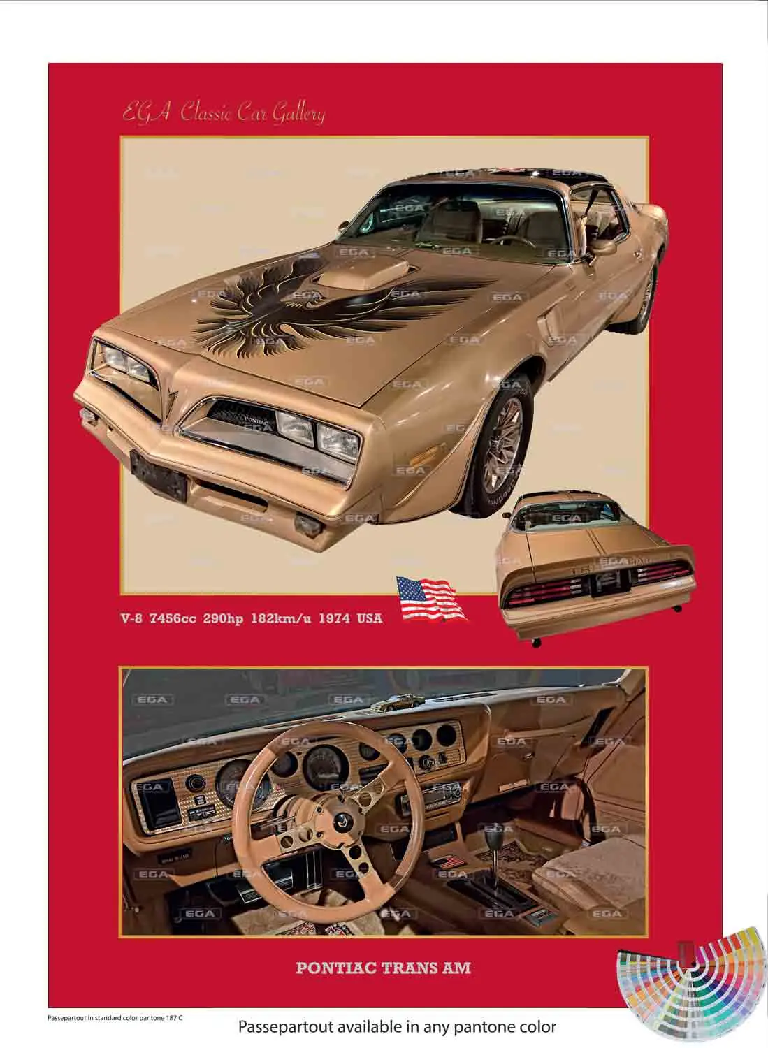 Pontiac Trans Am Firebird 1974 - Image 6