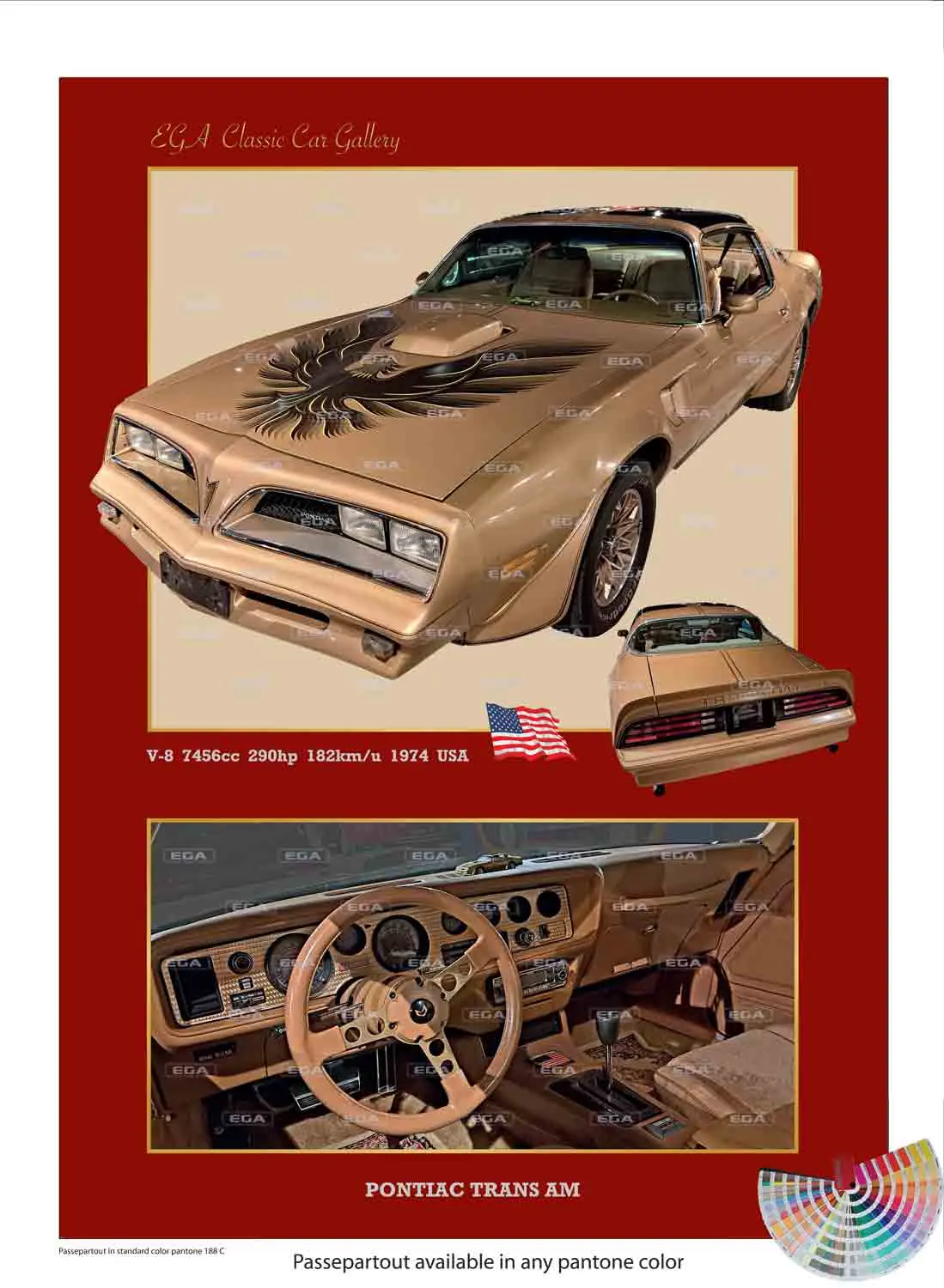 Pontiac Trans Am Firebird 1974 - Image 7