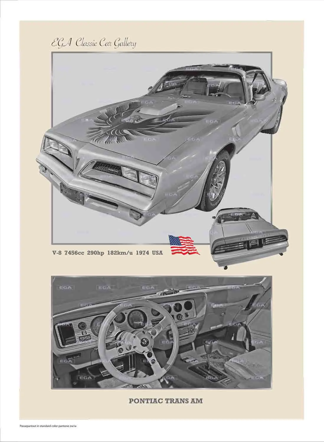 Pontiac Trans Am Firebird 1974 - Image 9